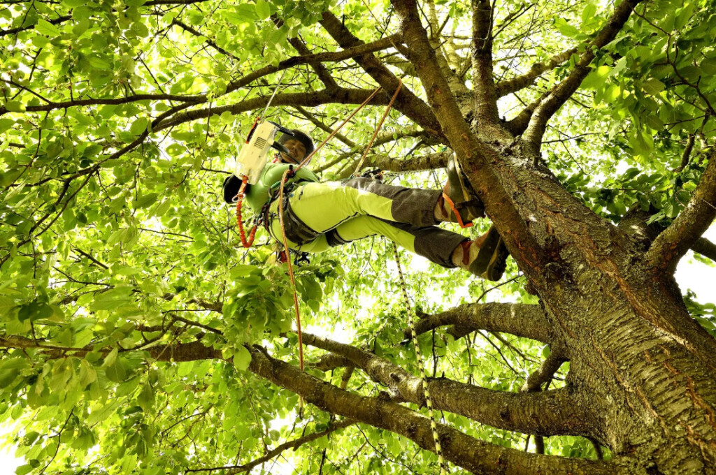 Bilder MASCHINENRING in Neustadt & Weiden