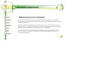 Website Screenshot W. Haußmann Heizung Sanitär