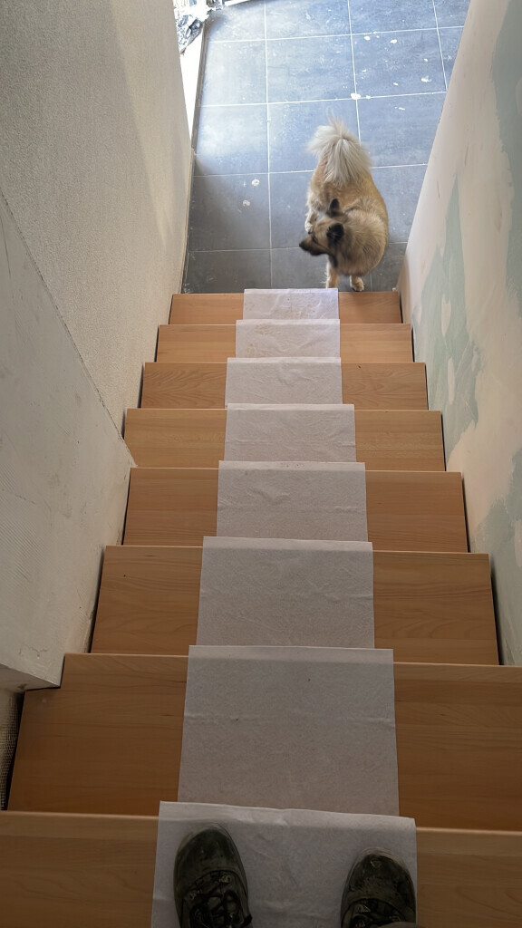 Bilder BT Holzbau & Innenausbau