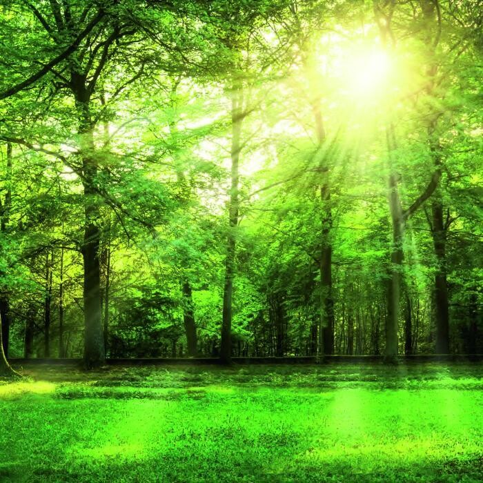 Bilder Bestattungen Spandl - Robert Spandl