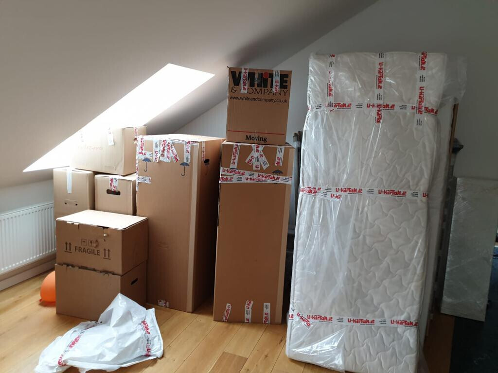 Bilder Studentische Umzugshelfer Berlin