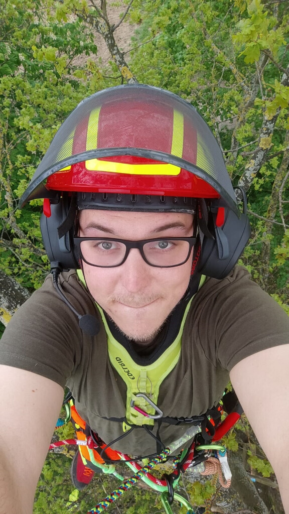 Bilder Baumdienst Daniel Laker