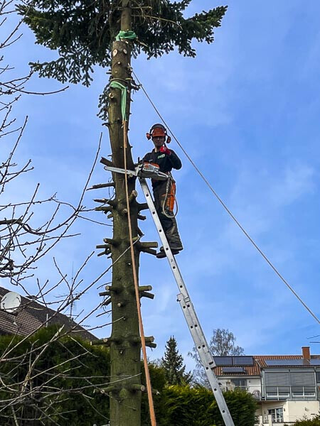 Bilder Inhaber: Pascal Dräger