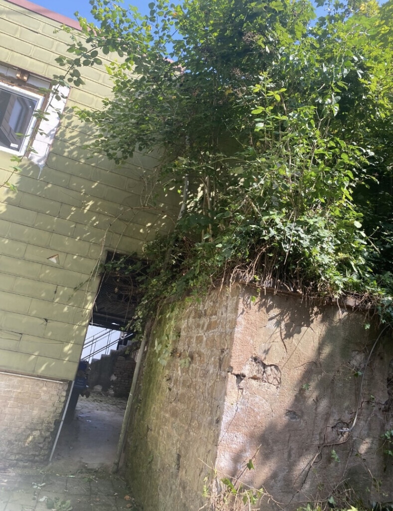 Bilder Lanic UG (haftungsbeschränkt)