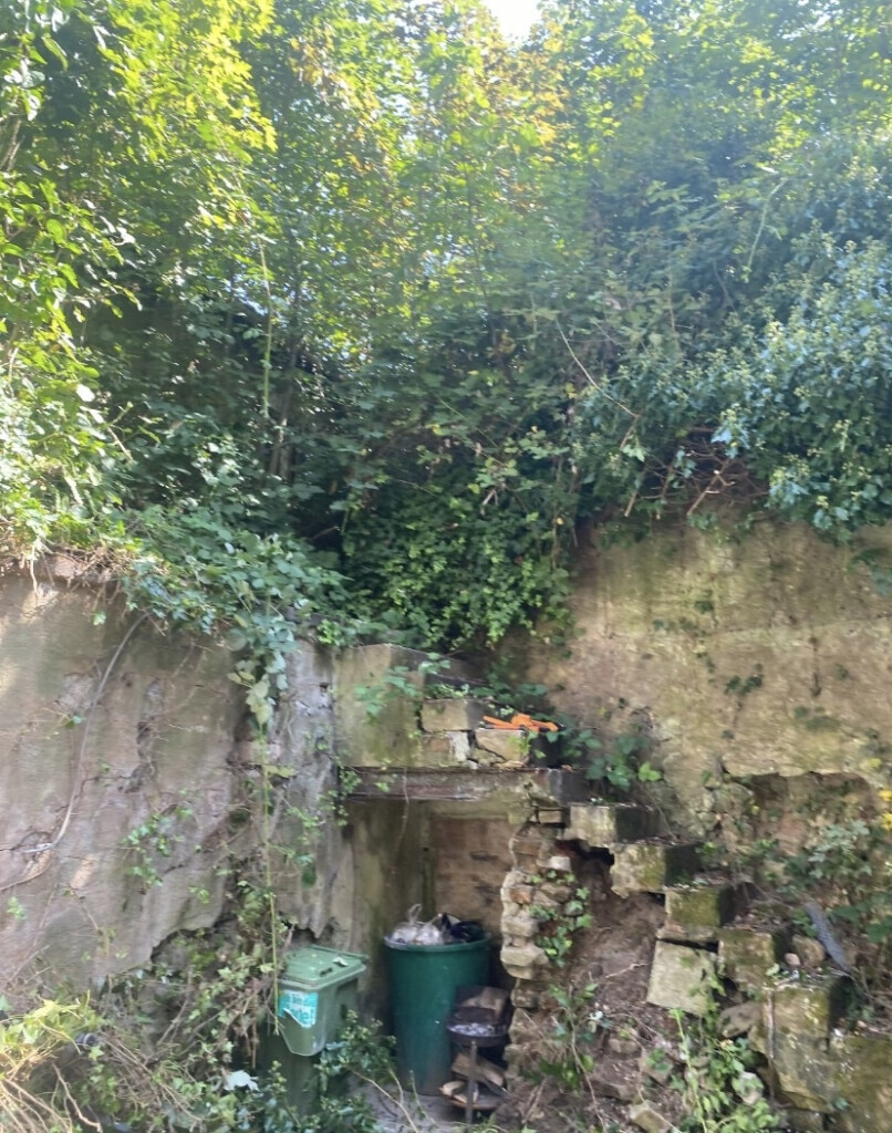 Bilder Lanic UG (haftungsbeschränkt)