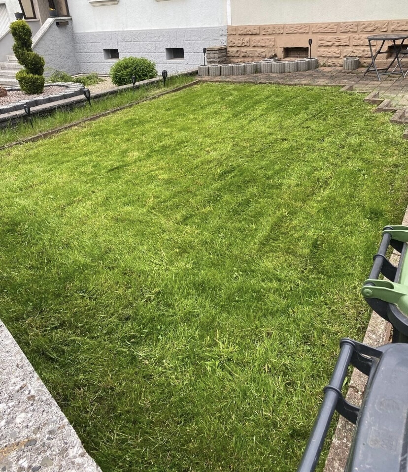 Bilder Lanic UG (haftungsbeschränkt)