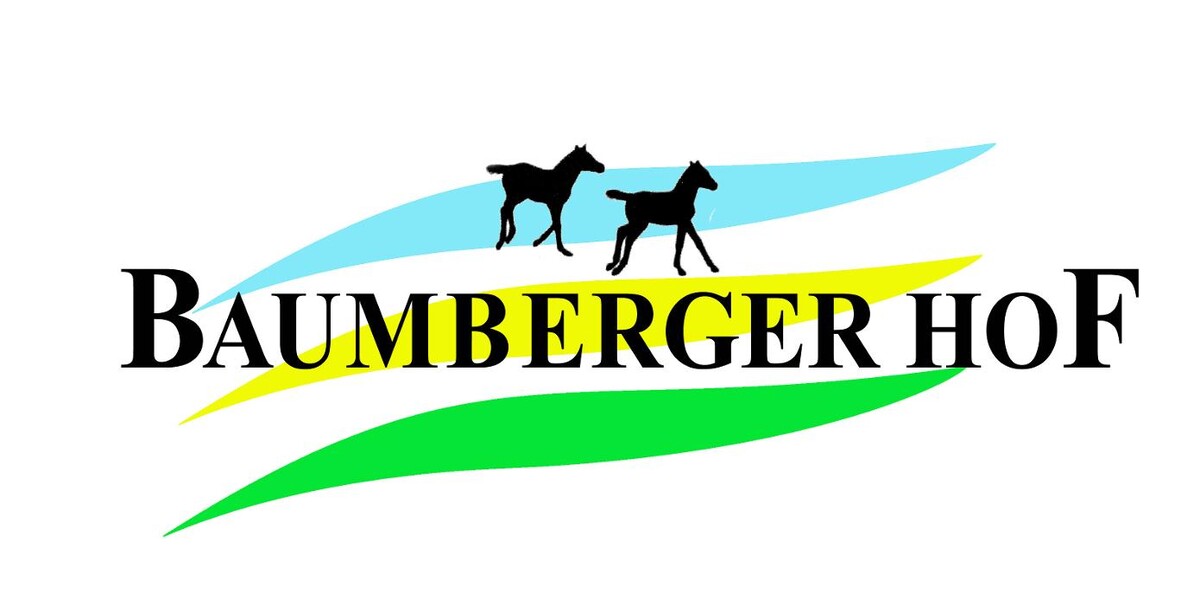 Bilder Jungpferdeaufzucht Baumberger Hof