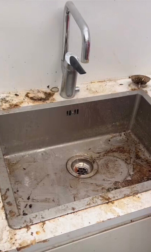 Bilder HD-Glanzleistung