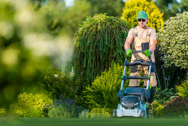 Bilder PADERPLUS+ Inhaber: RENATAS STRAUTNIKAS