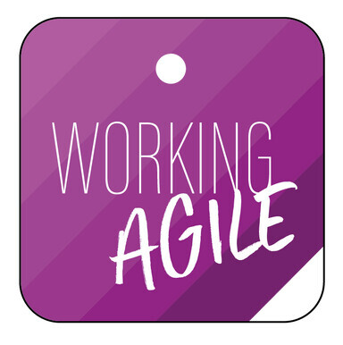 WORKING AGILE Logo