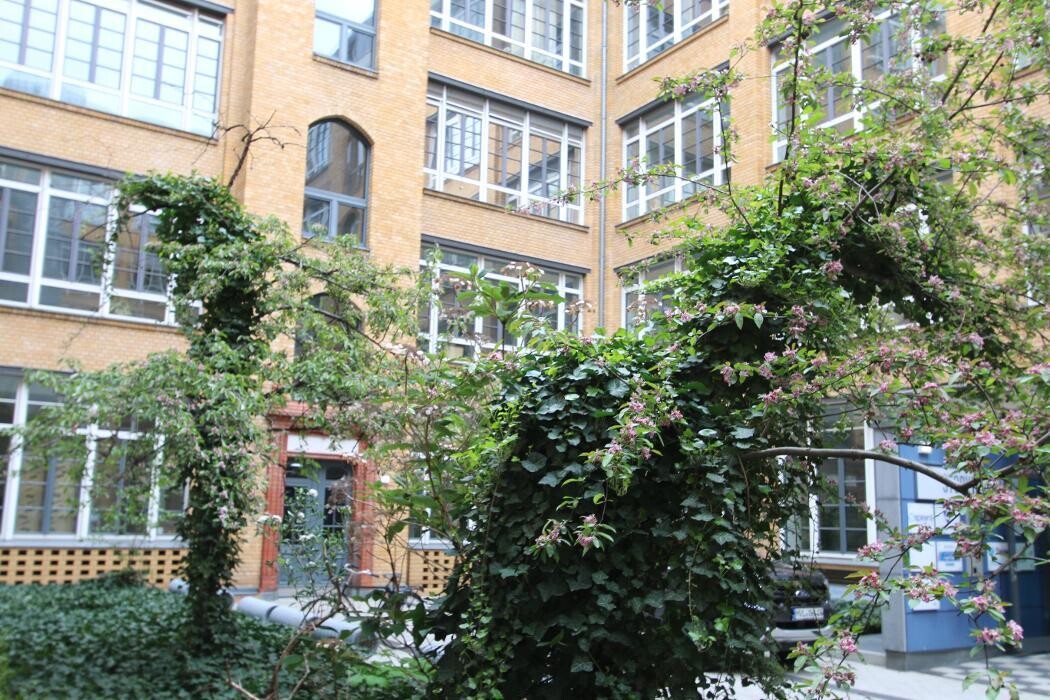 Bilder Institut f. Bildung und Sicherheit - Eberhard Hesse