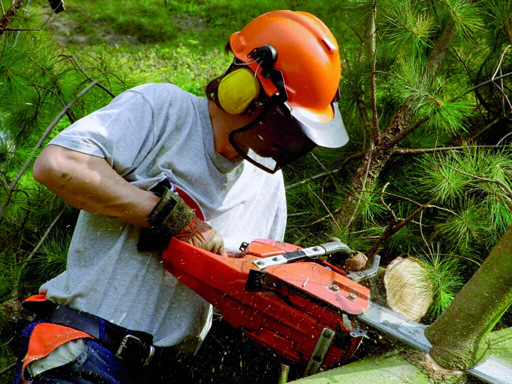 Bilder Bellinghausen Garten & Zaun