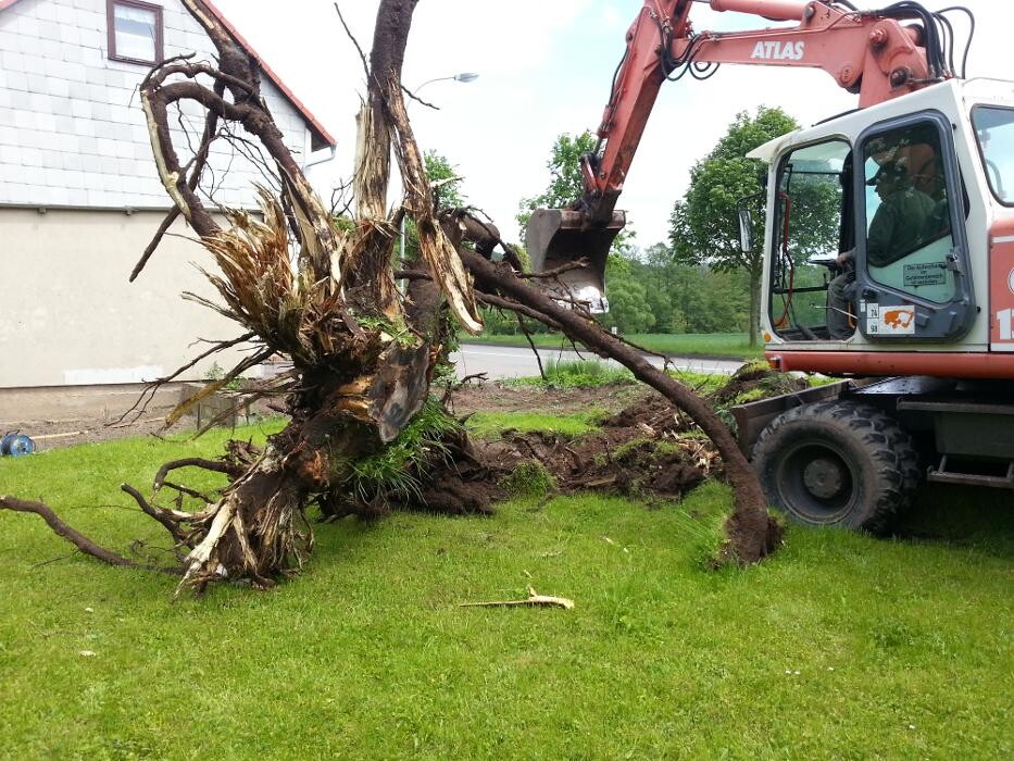 Bilder Elektromobile & Roller Vowega GbR