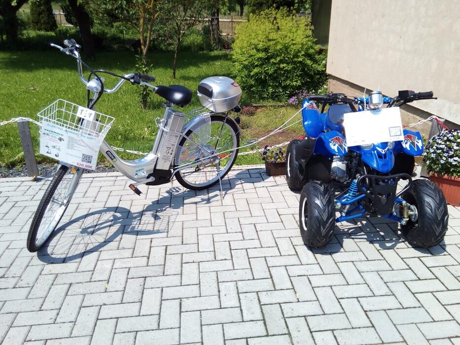 Bilder Elektromobile & Roller Vowega GbR