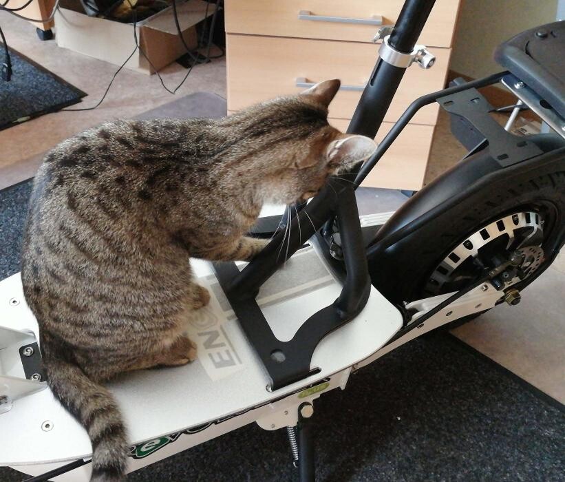 Bilder Elektromobile & Roller Vowega GbR