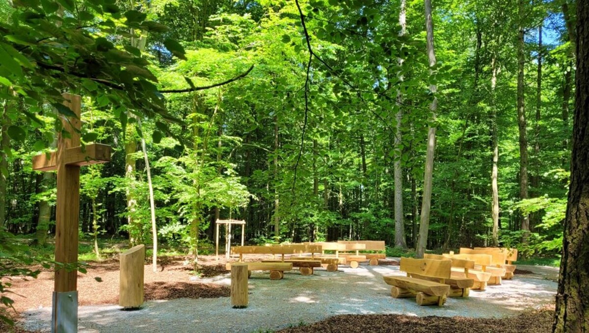 Bilder FriedWald Main-Tauber