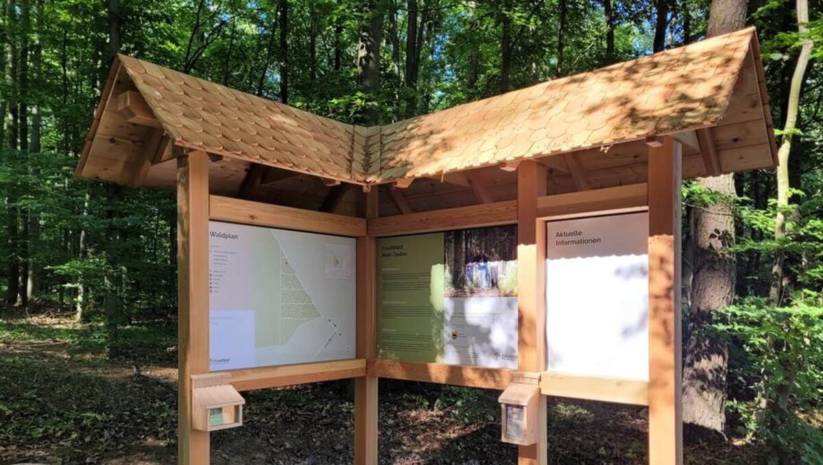 Bilder FriedWald Main-Tauber