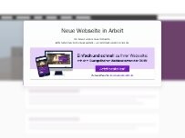 Website Screenshot Evangelischer Kindergarten Wald-Michelbach
