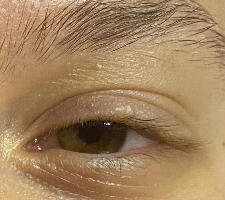 Bilder Corinna Vignal