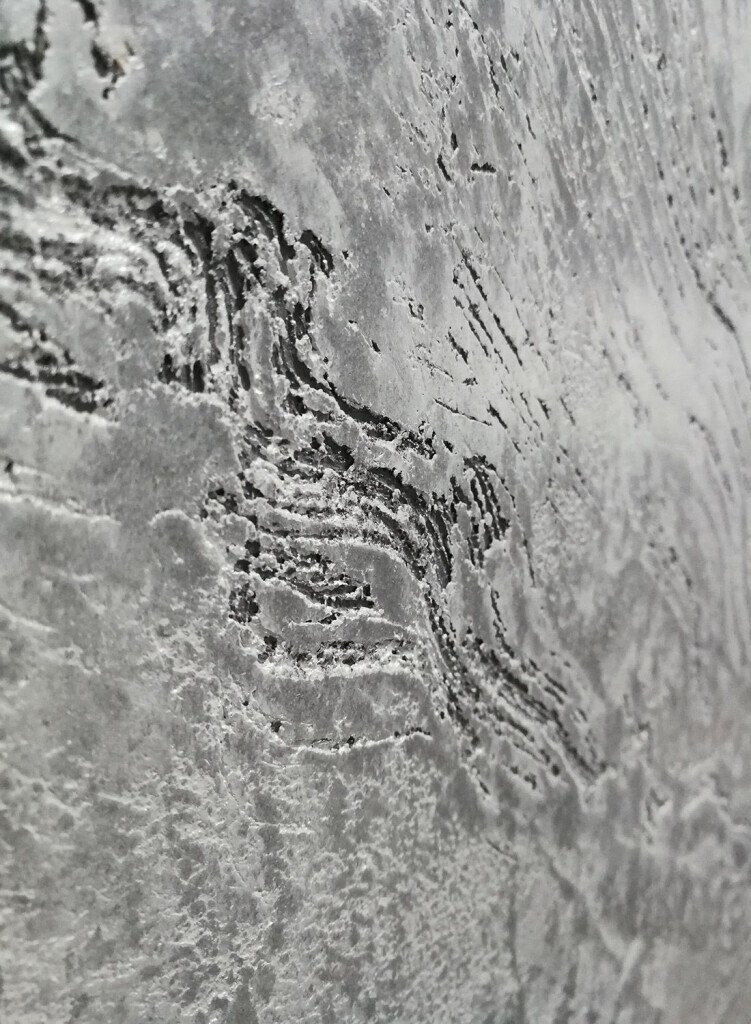 Bilder Malerbetrieb P. Hollmann M. Homeier GmbH & CoKG