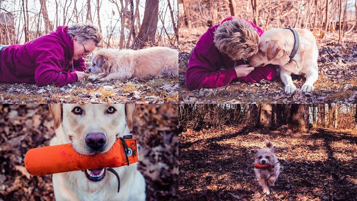 Bilder hundetraining claudia michel