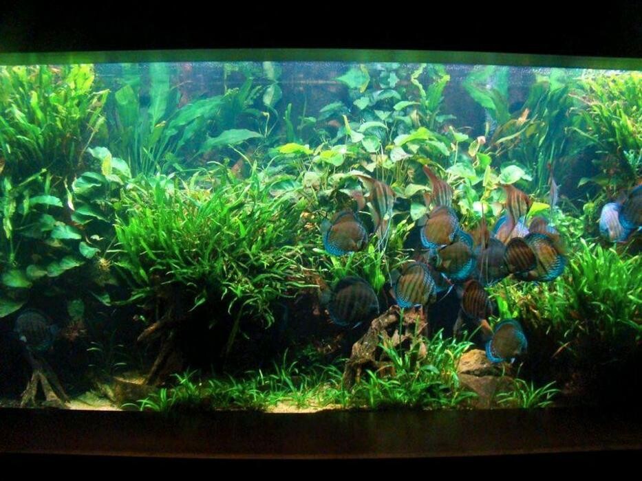 Bilder Helmut Galler