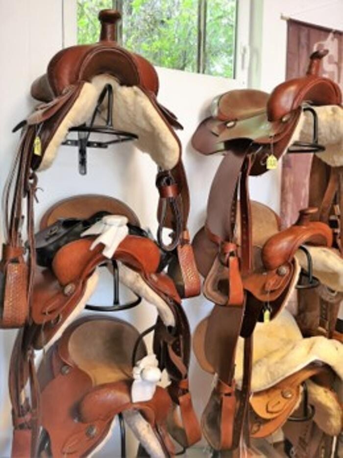 Bilder Le Cheval - Saar