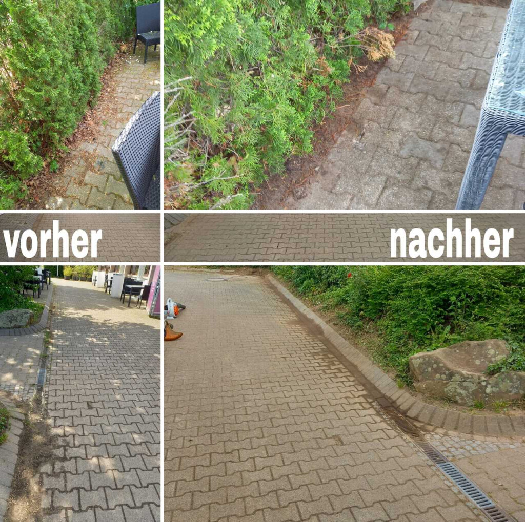 Bilder Kevin Becker SDS Dienstleistungsservice