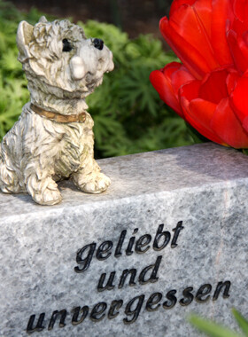 Bilder Tierbestatter für Dortmund