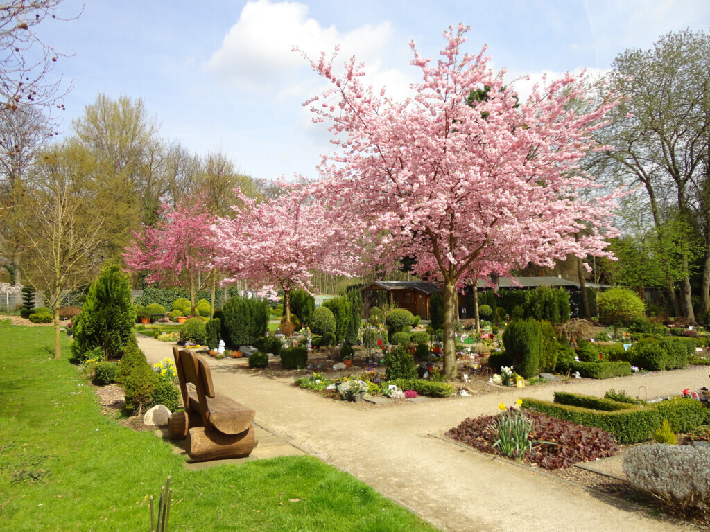 Bilder Tierbestatter für Dortmund