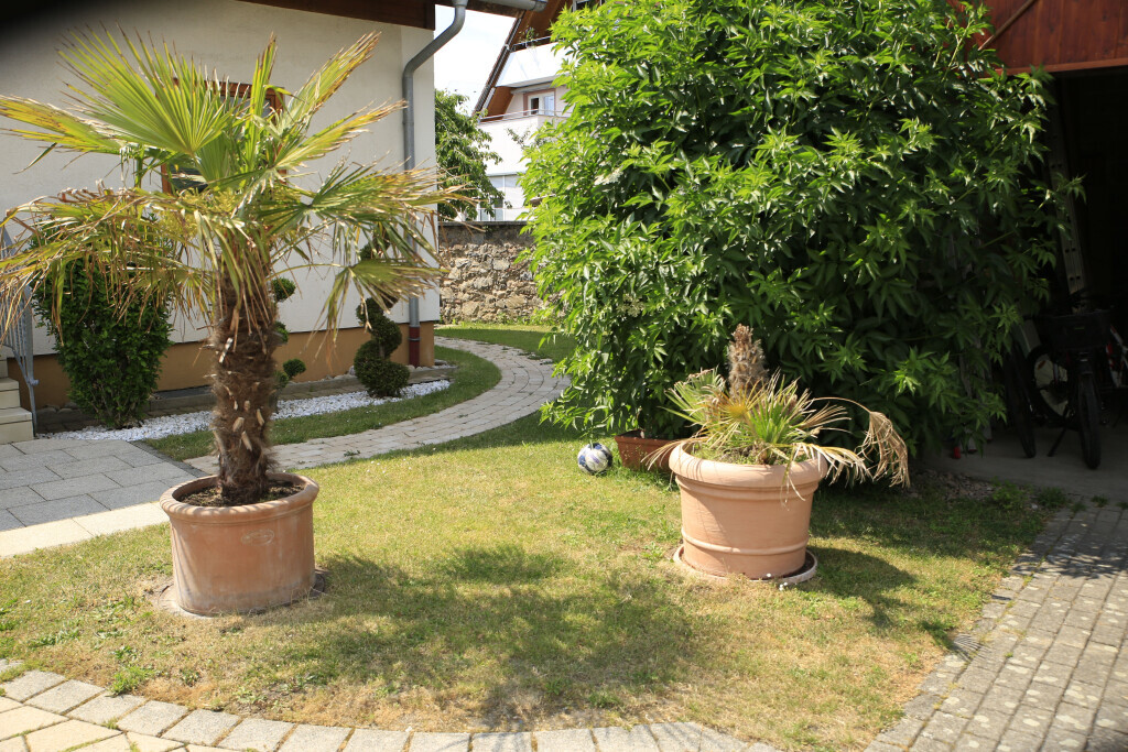 Bilder Elztal Gartenbau