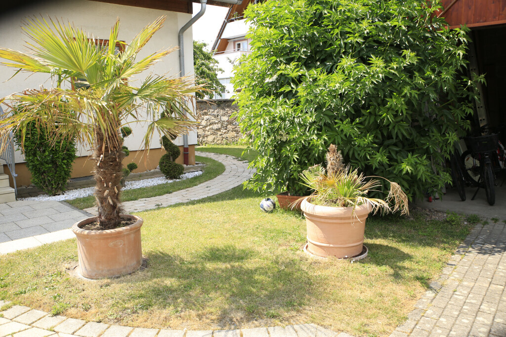 Bilder Elztal Gartenbau