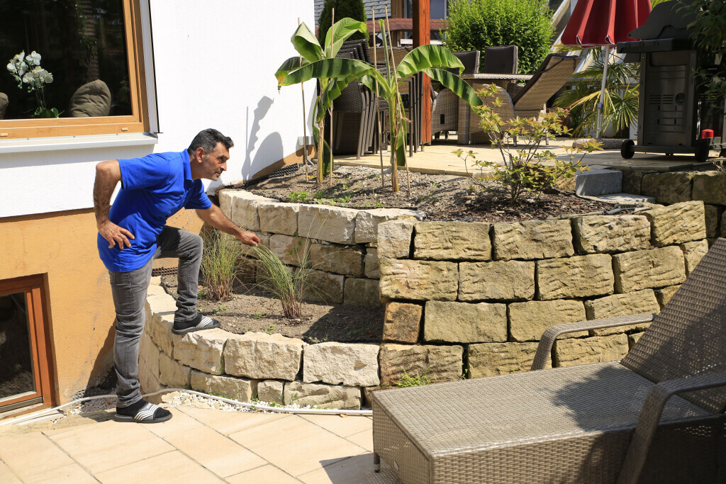 Bilder Elztal Gartenbau