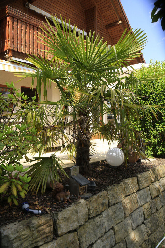 Bilder Elztal Gartenbau