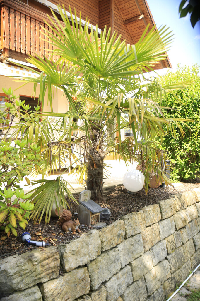 Bilder Elztal Gartenbau