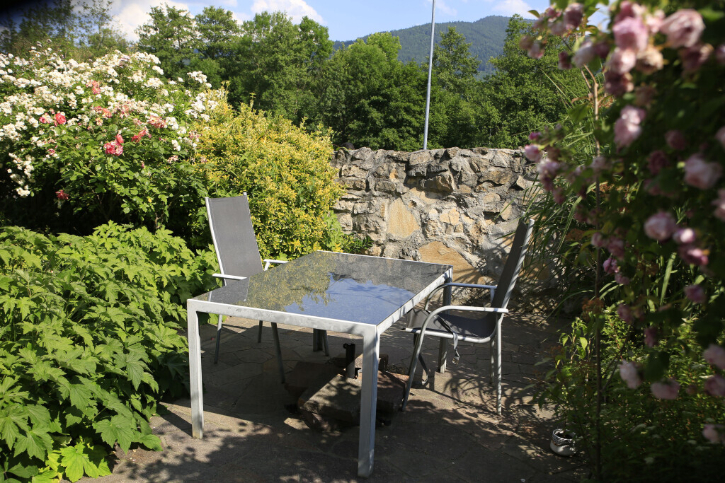 Bilder Elztal Gartenbau