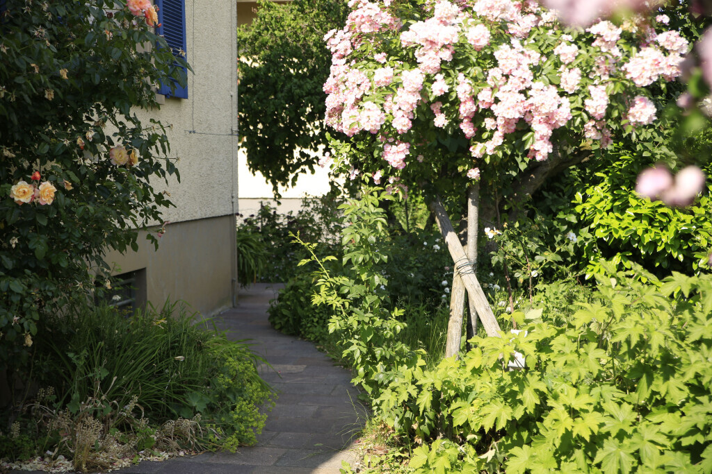 Bilder Elztal Gartenbau