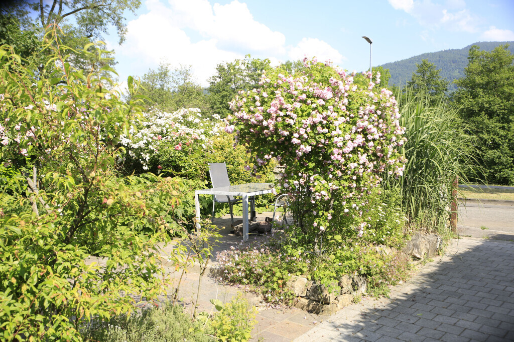 Bilder Elztal Gartenbau