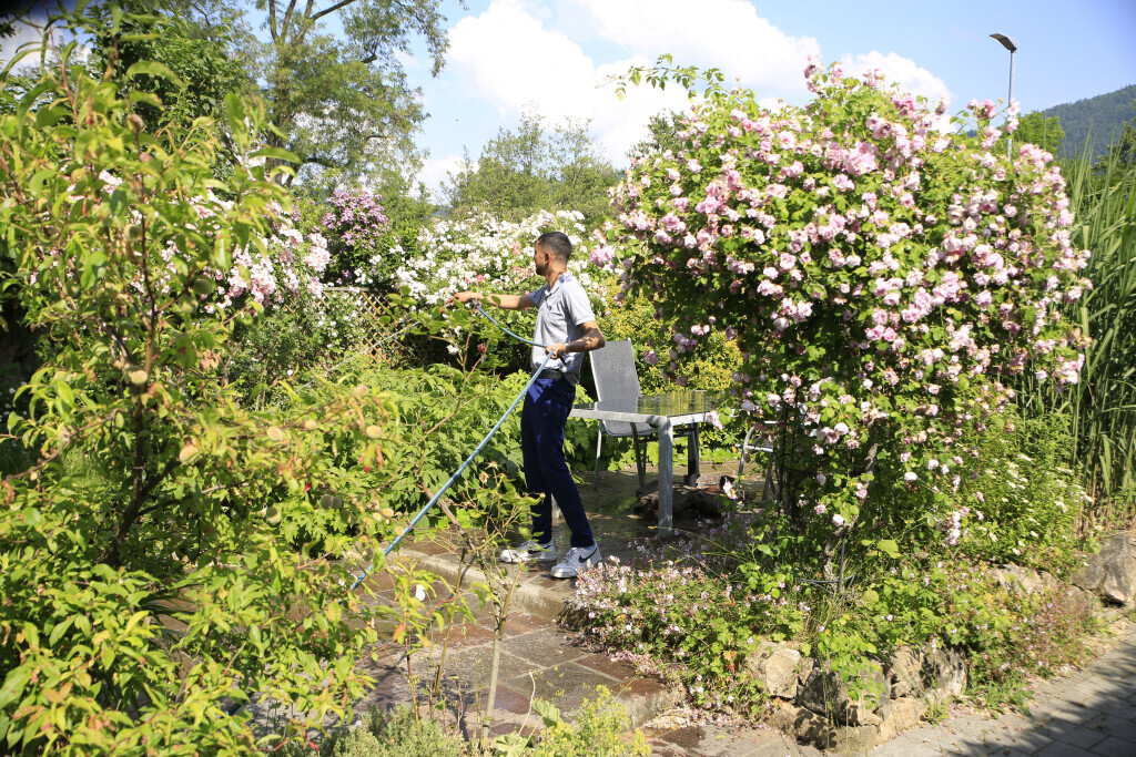 Bilder Elztal Gartenbau