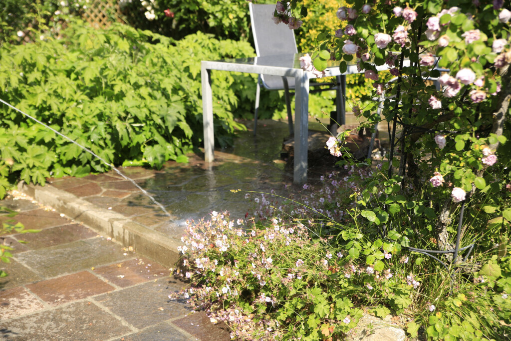 Bilder Elztal Gartenbau