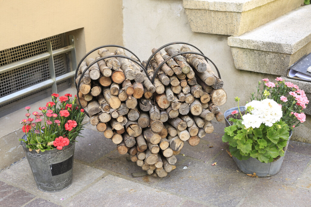 Bilder Elztal Gartenbau