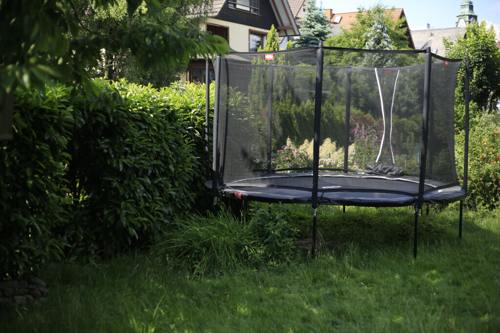 Bilder Elztal Gartenbau