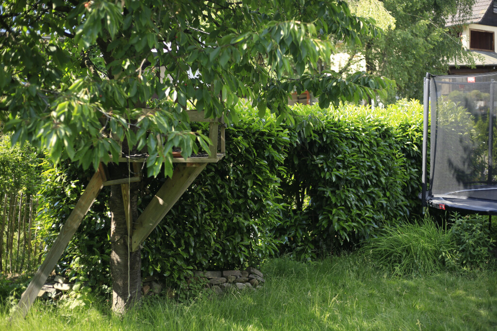 Bilder Elztal Gartenbau