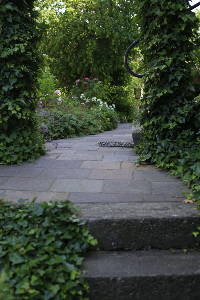 Bilder Elztal Gartenbau