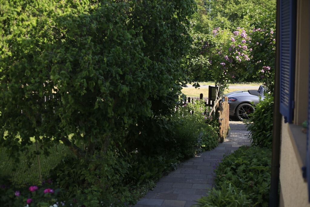 Bilder Elztal Gartenbau