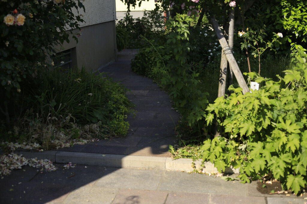 Bilder Elztal Gartenbau