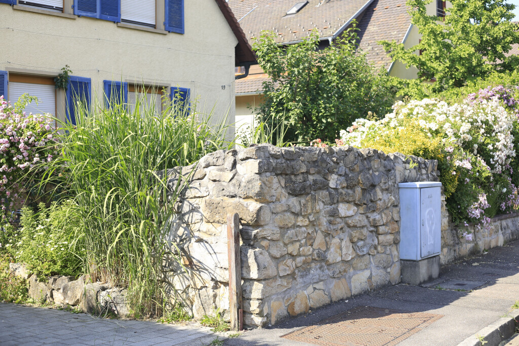 Bilder Elztal Gartenbau