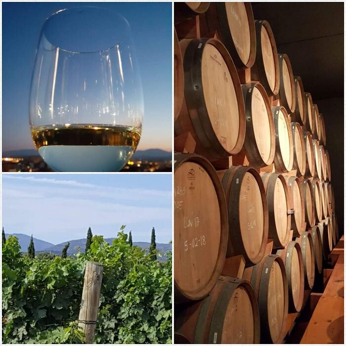 Bilder Biowein pur