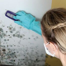 Bilder BAUDIAGNOSEN Sachverständigenbüro