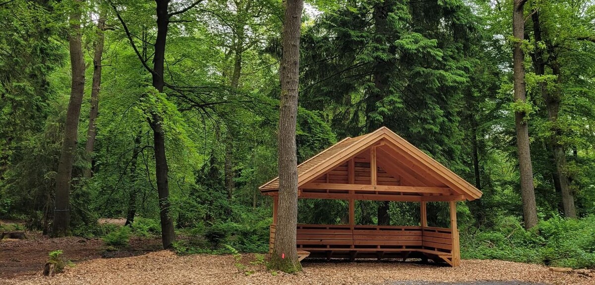 Bilder FriedWald Ostfriesland